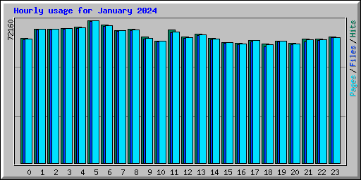 Hourly usage for January 2024